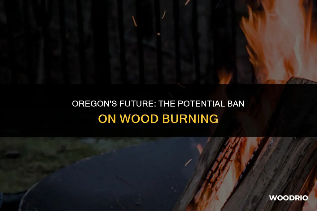 are there plans to make wood burning illegal in oregon
