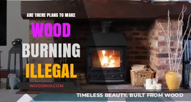 Future of Wood Burning: Legal or Illegal?