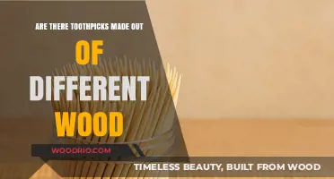 Exploring the Varieties: Toothpicks Beyond Traditional Wood