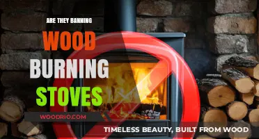 The Future of Wood Burning Stoves: A Ban in Sight?