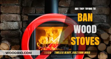 The Future of Wood Stoves: A Burning Debate on Bans and Restrictions