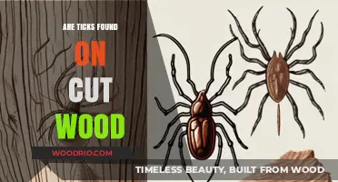 Unveiling the Truth: Can Ticks Lurk on Cut Wood?