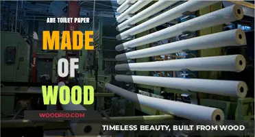 Unraveling the Pulp Truth: Are Toilet Papers Really Made of Wood?