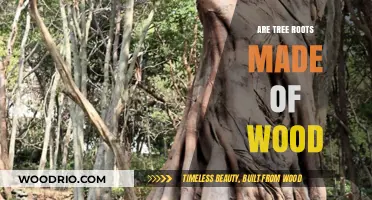 Unveiling Nature's Secret: The Wooden Structure of Tree Roots