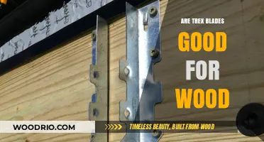 Unleashing the Power of T-Rex Blades: A Woodworker's Honest Review