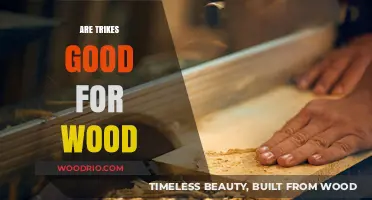 Exploring the Benefits of Trikes for Woodworking Projects