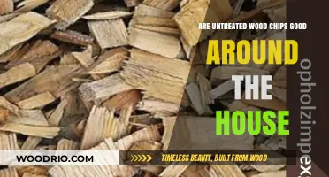 Exploring the Pros and Cons of Untreated Wood Chips for Home Use