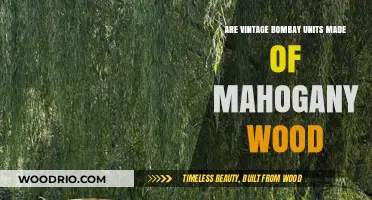 Exploring the Timeless Charm of Vintage Bombay Units: Mahogany or Not?