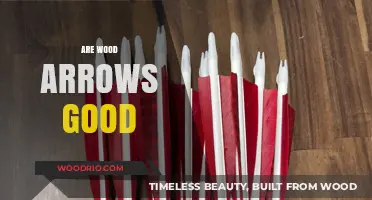 Exploring the Pros and Cons: Are Wood Arrows Worth It?
