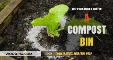 Enriching Your Compost: The Benefits of Adding Wood Ashes