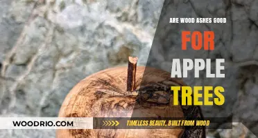 Nurturing Apple Trees: The Benefits of Wood Ashes in Orchard Care