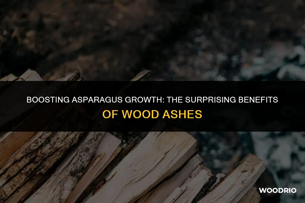 are wood ashes good for asparagus