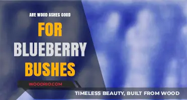 Boosting Blueberry Bushes: The Benefits of Wood Ashes in Gardening
