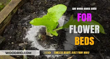 Nurturing Blooms: The Benefits of Wood Ashes in Flower Beds