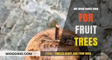 Nurturing Fruit Trees: The Benefits of Wood Ashes in Your Orchard