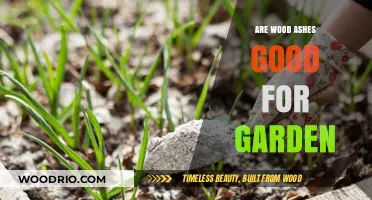 Nurturing Gardens: The Surprising Benefits of Wood Ashes in Soil