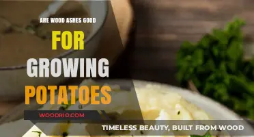 Boosting Potato Growth: The Surprising Benefits of Wood Ashes