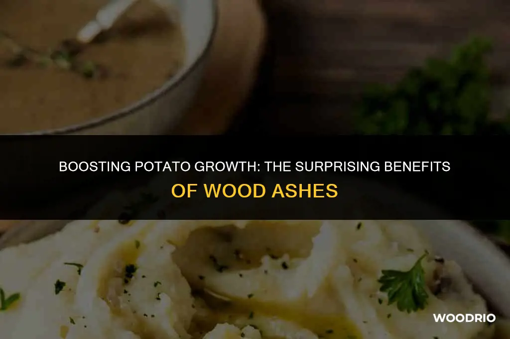 are wood ashes good for growing potatoes