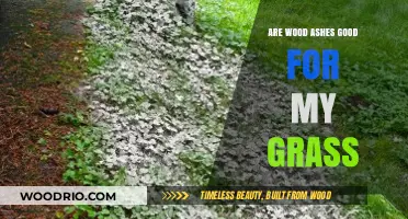 Revitalize Your Lawn: The Surprising Benefits of Wood Ashes for Grass