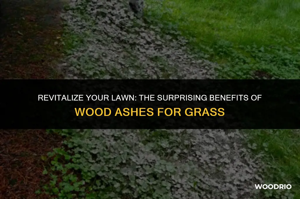 are wood ashes good for my grass
