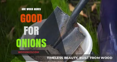 Boosting Onion Growth: The Surprising Benefits of Wood Ashes