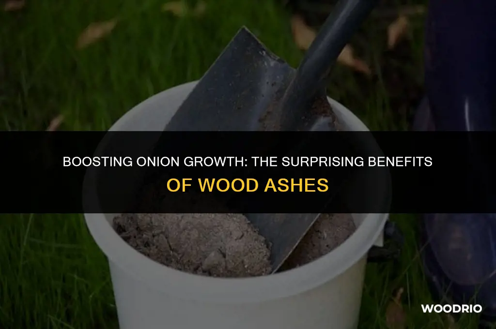 are wood ashes good for onions