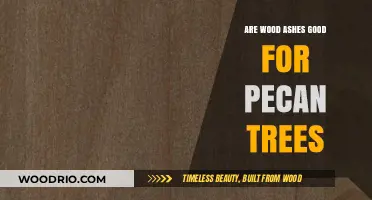 Nurturing Pecan Trees: The Benefits of Using Wood Ashes