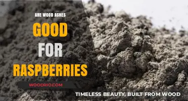 Boosting Raspberry Growth: The Benefits of Wood Ashes in Your Garden
