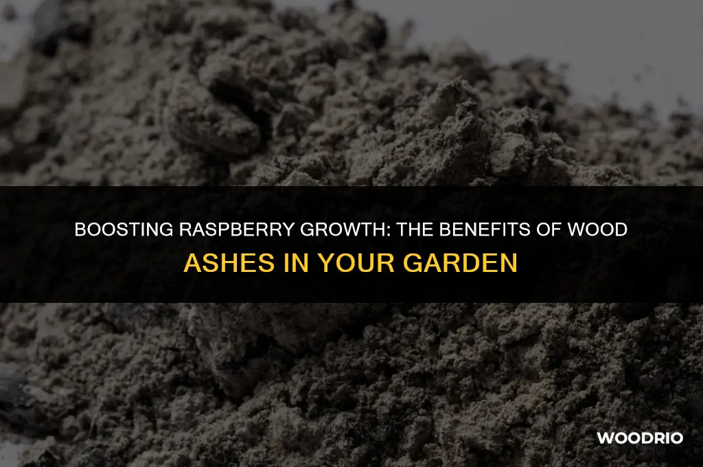are wood ashes good for raspberries