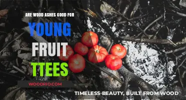Nurturing Young Fruit Trees: The Benefits of Wood Ashes