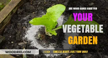 Boosting Your Garden's Health: The Benefits of Wood Ashes for Vegetables
