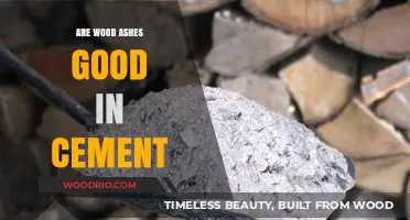 Exploring the Benefits of Wood Ashes in Cement Mixtures