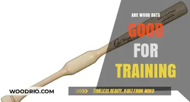 Exploring the Benefits of Wood Bats in Baseball Training