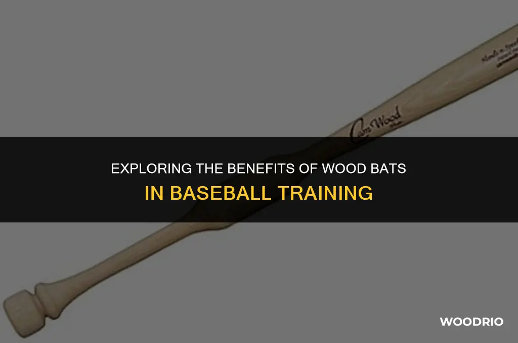 are wood bats good for training