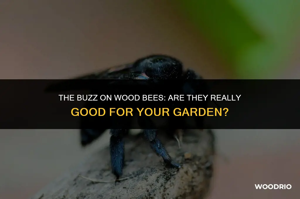 are wood bees good