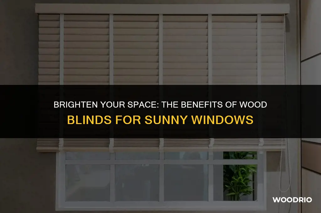 are wood blinds good for a sunny window