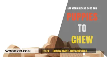Chew on This: The Benefits of Wood Blocks for Puppies