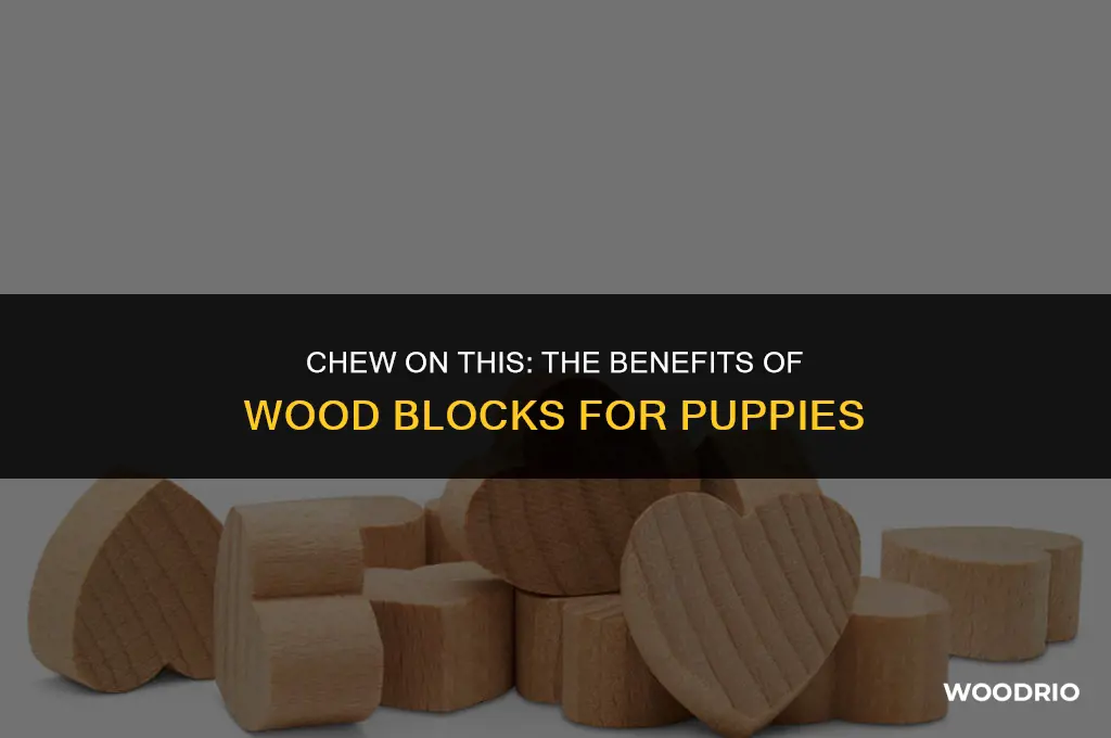 are wood blocks good for puppies to chew