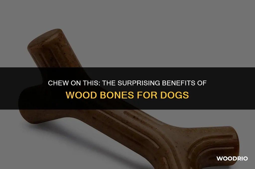 are wood bones good for dogs