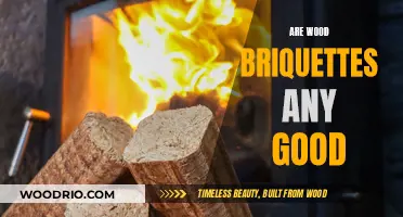 Exploring the Pros and Cons of Wood Briquettes for Heating