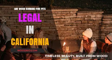 Exploring the Legality of Wood Burning Fire Pits in California