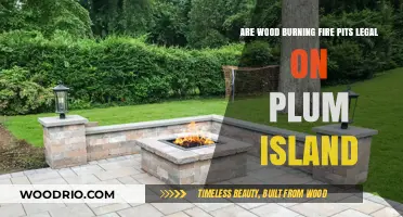 Exploring the Legality of Wood Burning Fire Pits on Plum Island