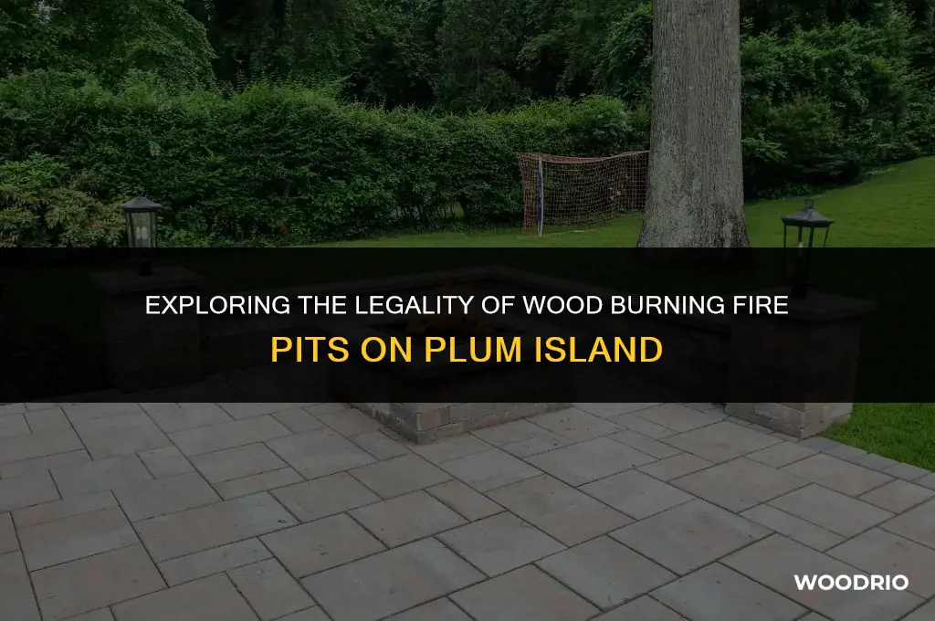 are wood burning fire pits legal on plum island