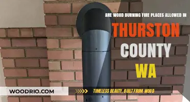 Exploring Thurston County's Regulations on Wood-Burning Fireplaces