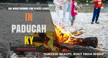 Exploring the Legality of Wood-Burning Fireplaces in Paducah, KY