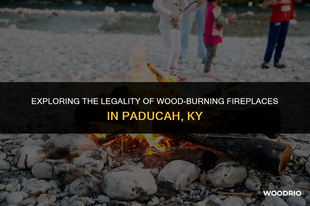 are wood burning fire places leagel in paducah ky