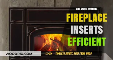 Exploring the Efficiency of Wood-Burning Fireplace Inserts: A Comprehensive Guide