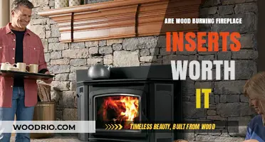 Evaluating the Worth of Wood Burning Fireplace Inserts: A Comprehensive Guide