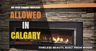 Exploring Calgary's Regulations on Wood Burning Fireplaces