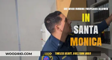 Santa Monica's Fireplace Regulations: Are Wood-Burning Units Permitted?
